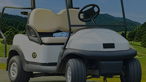 Golf Cart LiFePO4 Battery 48V